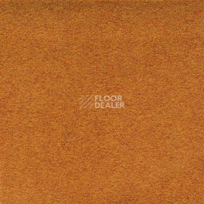 Ковролин Finett Dimension p 509209 – f 509109 фото 1 | FLOORDEALER